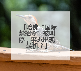 哈佛“国际禁招令”被叫停，事态出现转机？